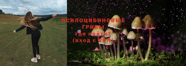 прущий лед Белокуриха